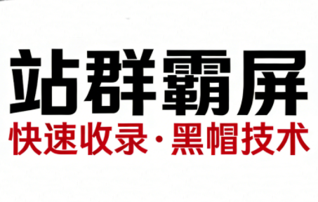 SEO野路子实战全集：快速收录、站群霸屏、黑帽技术(更新)-云泽轻创网