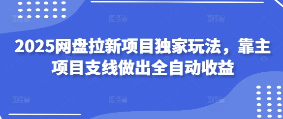 2025网盘拉新项目独家玩法，靠主项目支线做出全自动收益-云泽轻创网