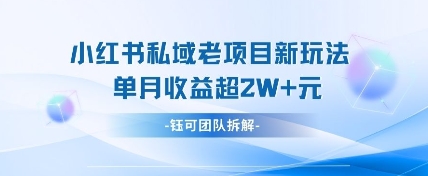 小红书私域项目新玩法,单月变现过W+-云泽轻创网