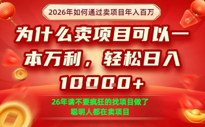 一单净利润1K+，26年想年入100个W，死磕卖项目就够了【揭秘】-云泽轻创网