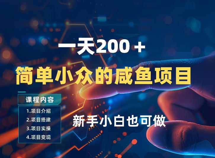 一天收入2张，一个简单小众的咸鱼项目，0门槛小白也能做-云泽轻创网
