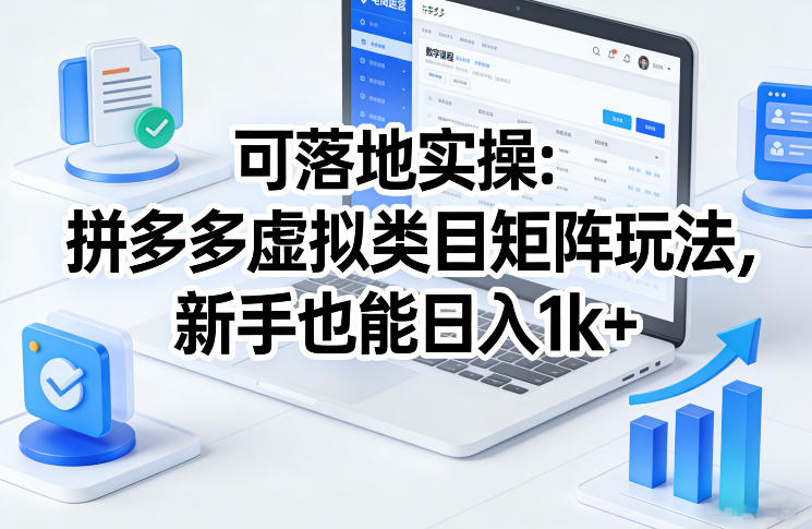 可落地实操：拼多多虚拟类目矩阵玩法，新手也能日入1k+【揭秘】-云泽轻创网