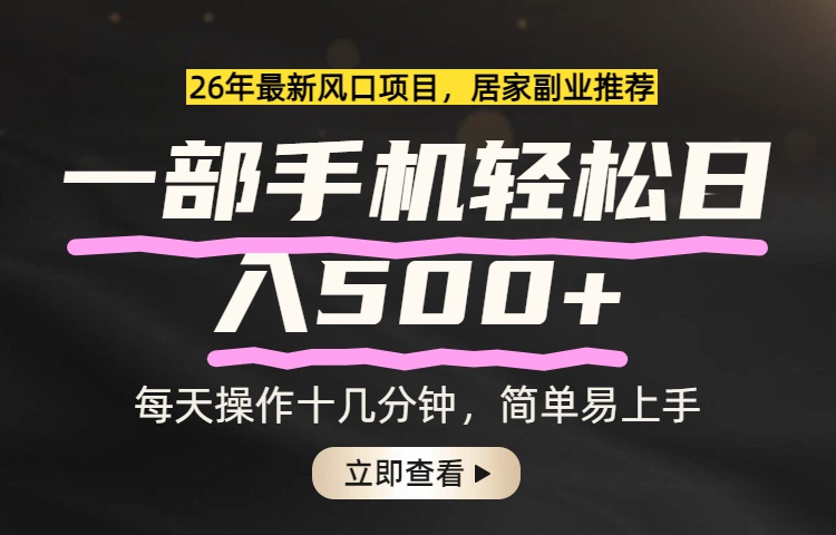 26年居家副业首选，一部手机轻松日入500+，长期稳定可做-云泽轻创网
