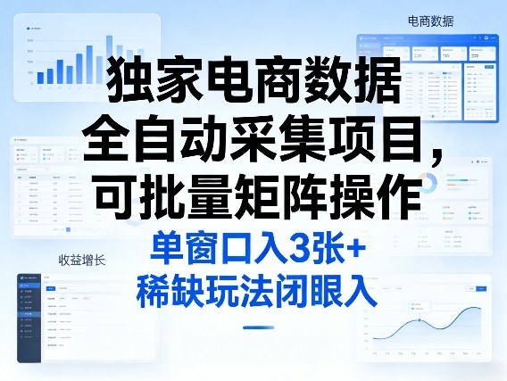 独家电商数据全自动采集项目，可批量矩阵操作，单窗口日入3张+，稀缺玩法闭眼入【揭秘】-云泽轻创网