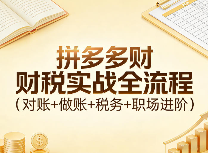拼多多财税实战全流程(对账+做账+税务+职场进阶)-云泽轻创网