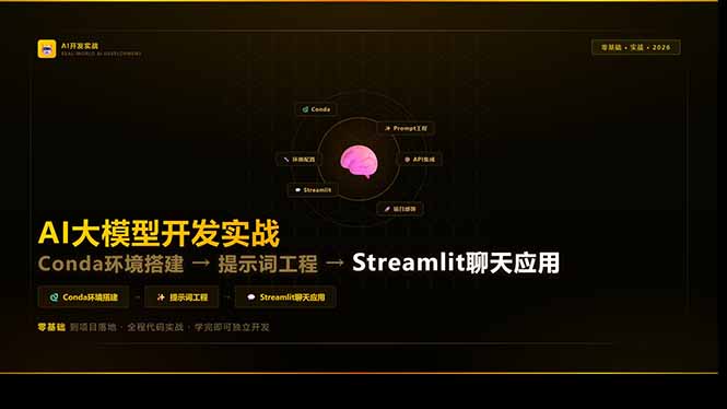 AI大模型开发实战：Conda环境搭建→提示词工程→Streamlit聊天应用，零基础到项目落地-云泽轻创网