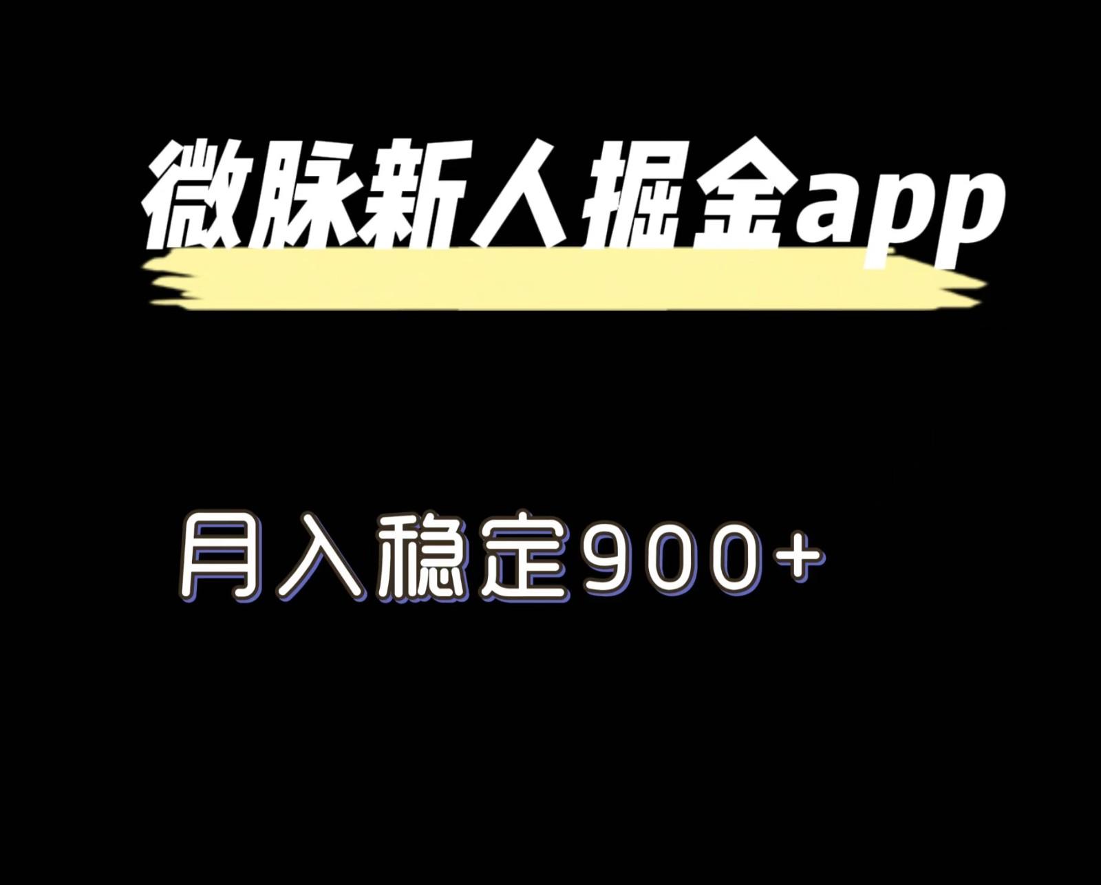 最新微脉长久项目，拉新掘金，月入稳定900+-云泽轻创网