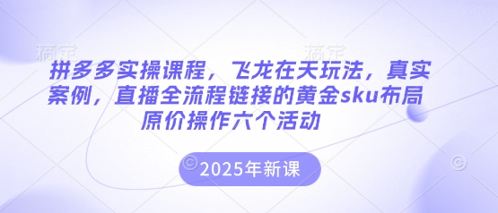 拼多多实操课程，飞龙在天玩法，真实案例，直播全流程链接的黄金sku布局原价操作六个活动-云泽轻创网
