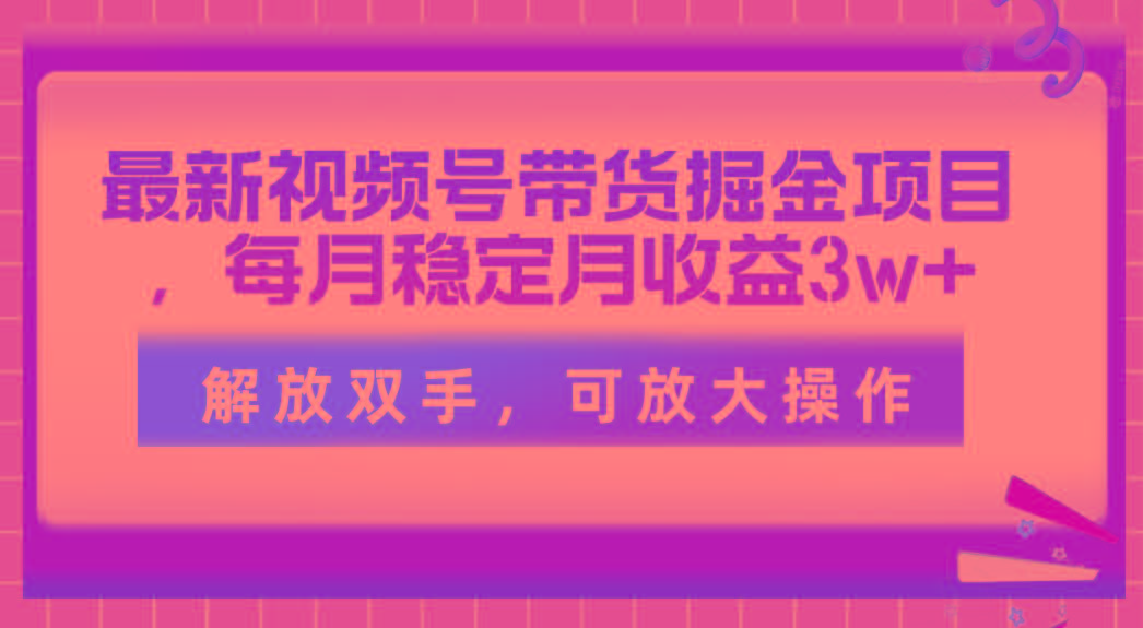 最新视频号带货掘金项目，每月稳定月收益3w+，解放双手，可放大操作-云泽轻创网