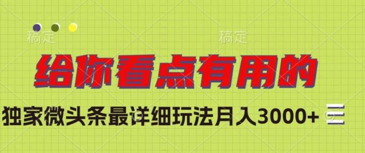 独家微头条最详细玩法，月入3000+【揭秘】-云泽轻创网