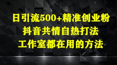 日引流500+精准创业粉，抖音共情自热打法，工作室都在用的方法-云泽轻创网
