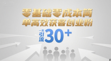 零基础零成本简单高效获客创业粉，一天引流30+-云泽轻创网