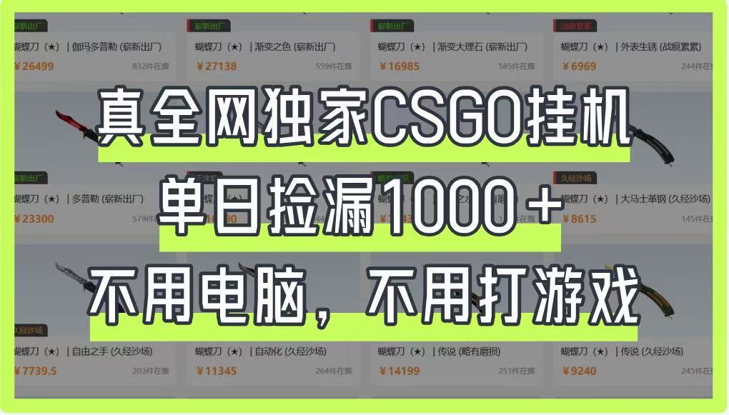 真全网独家CSGO挂机，单日捡漏1000+，不用电脑，不用养号-云泽轻创网