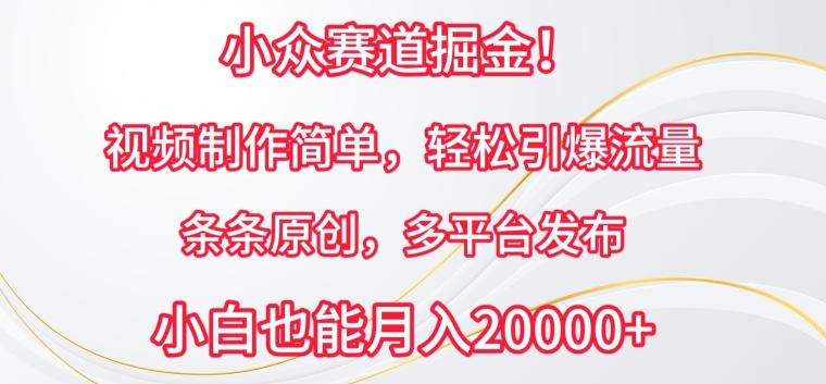 小众赛道掘金,视频制作简单,轻松引爆流量,条条原创,多平台发布【揭秘】