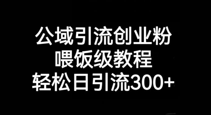 公域引流创业粉，喂饭级教程，轻松日引流300+【揭秘】-云泽轻创网