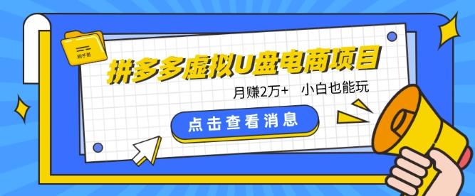 拼多多虚拟U盘电商红利项目：月赚2万+，新手小白也能玩-云泽轻创网