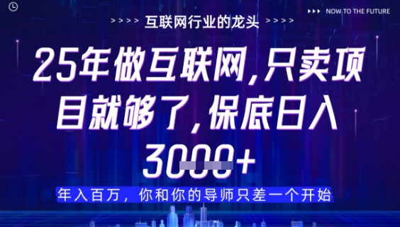 什么！25年你还在找项目做？风口早就变了，卖项目才是稳挣不赔【揭秘】-云泽轻创网