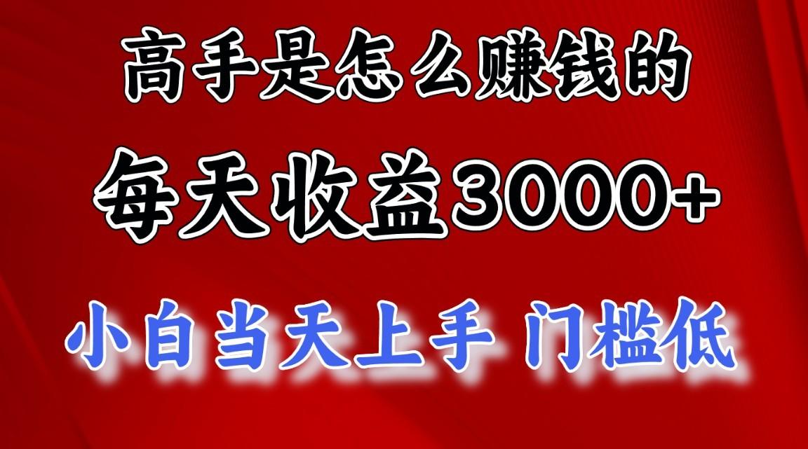 高手是怎么赚钱的,一天收益3000+,闷声发财项目,不是一般人能看懂的-云泽轻创网