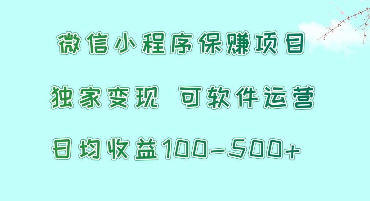 微信小程序保赚项目，日均收益100~500+，独家变现，可软件运营-云泽轻创网