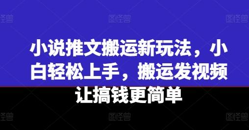 小说推文搬运新玩法，小白轻松上手，搬运发视频让搞钱更简单-云泽轻创网