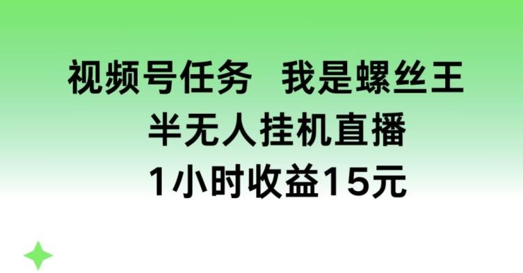 视频号任务，我是螺丝王， 半无人挂机1小时收益15元【揭秘】-云泽轻创网