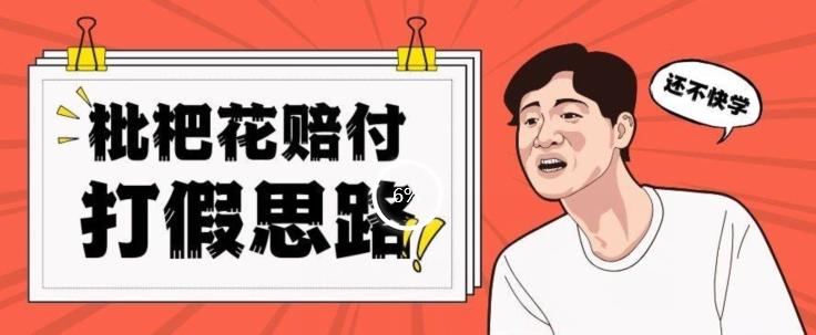 最新打假原料枇杷花赔付玩法一单收益1000+小白轻松下车【详细视频玩法教程】【仅揭秘】-云泽轻创网