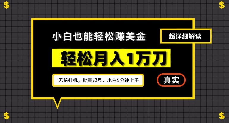 谷歌看广告撸美金2.0，无脑挂机，多号操作，月入1万刀【揭秘】-云泽轻创网
