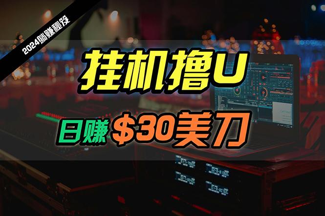 (10013期)日赚30美刀，2024最新海外挂机撸U内部项目，全程无人值守，可批量放大-云泽轻创网