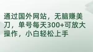 通过国外网站，无脑赚美刀，单号每天300+可放大操作，小白轻松上手【揭秘】-云泽轻创网