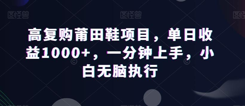 高复购莆田鞋项目，单日收益1000+，一分钟上手，小白无脑执行-云泽轻创网