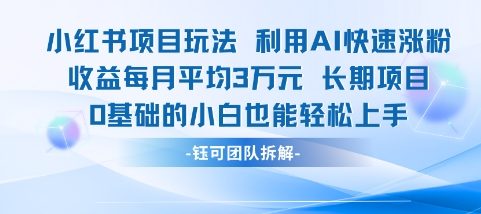 适合小白操作的小红书新项目，利用AI快速涨粉，收益每月平均1W+-云泽轻创网