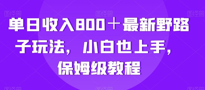 单日收入800＋最新野路子玩法，小白也上手，保姆级教程-云泽轻创网