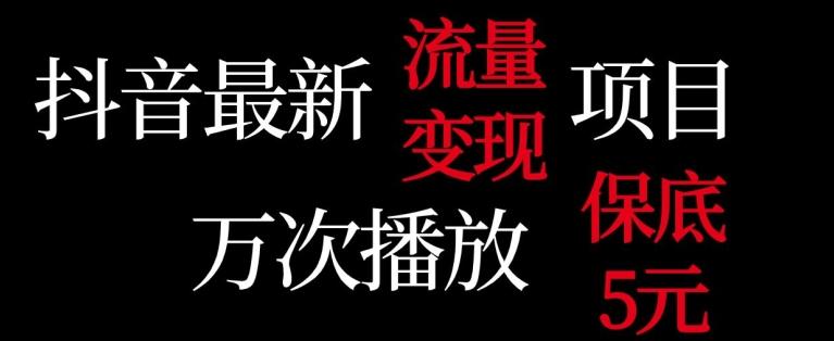 抖音流量变现，万次播放保底5元，额外收入-云泽轻创网
