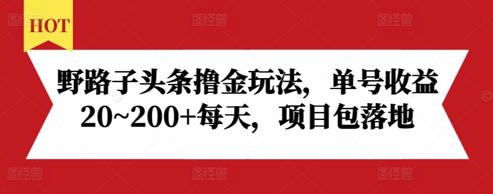 野路子头条撸金玩法，单号收益20~200+每天，项目包落地-云泽轻创网