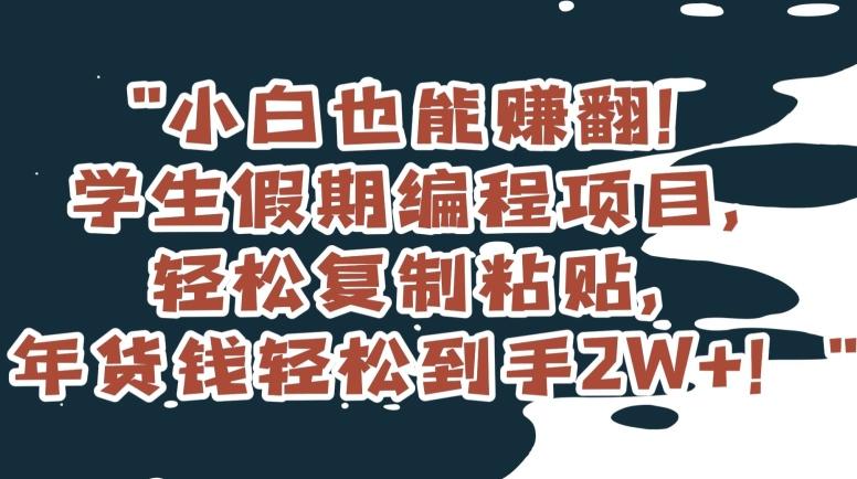 小白也能赚翻！学生假期编程项目，轻松复制粘贴，年货钱轻松到手2W+【揭秘】-云泽轻创网