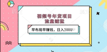视频号年货项目，流量贼猛，早布局早挣钱，日入上k【揭秘】-云泽轻创网