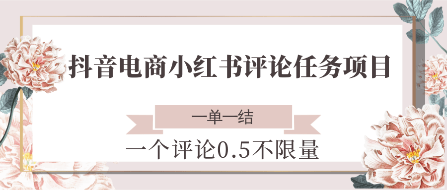 抖音电商小红书评论任务项目，一个评论0.5，一单一结 不限量-云泽轻创网