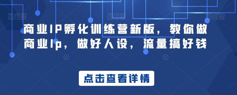 商业IP孵化训练营新版，教你做商业Ip，做好人设，流量搞好钱-云泽轻创网