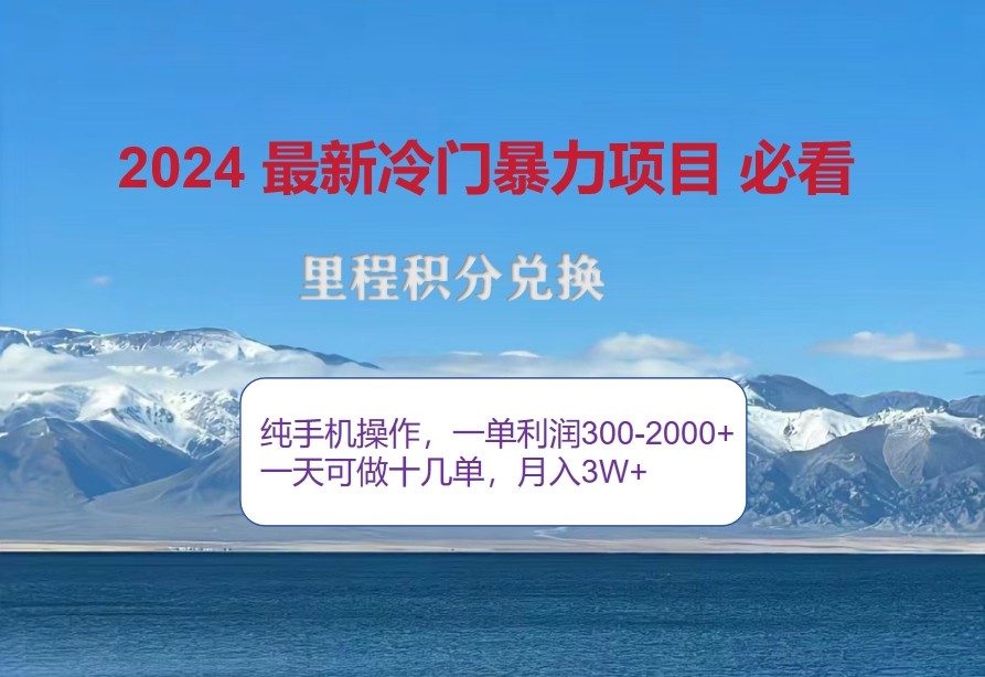 2024惊爆冷门暴利，里程积分最新玩法，高爆发期，一单300+—2000+-云泽轻创网