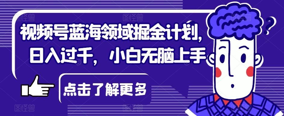 视频号蓝海领域掘金计划，日入过千，小白无脑上手【揭秘】-云泽轻创网
