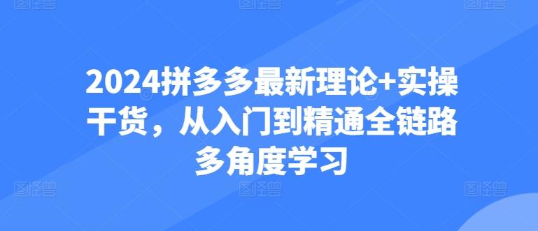 2024拼多多最新理论+实操干货,从入门到精通全链路多角度学习
