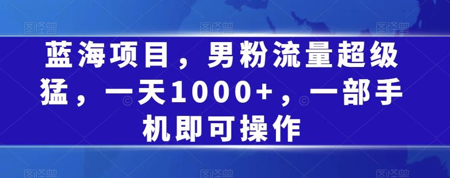 蓝海项目，男粉流量超级猛，一天1000+，一部手机即可操作【揭秘】-云泽轻创网