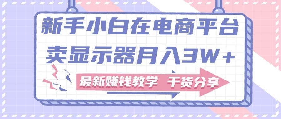 新手小白如何做到在电商平台卖显示器月入3W+，最新赚钱教学干货分享-云泽轻创网