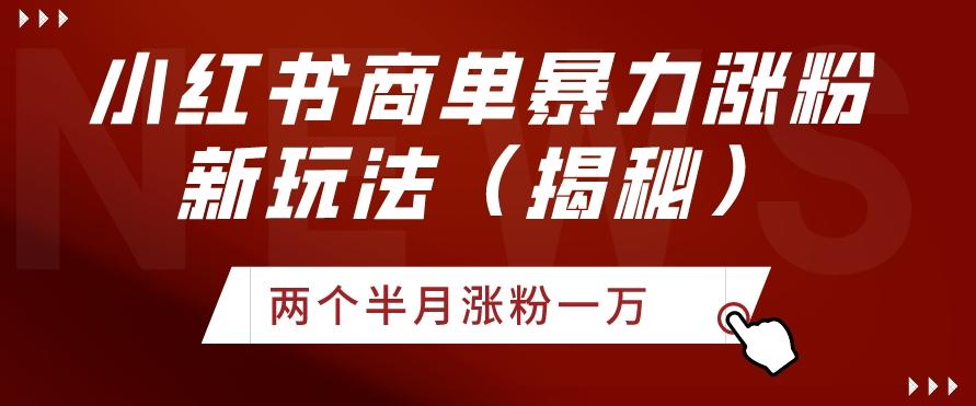 小红书商单暴力涨粉新玩法两个半月涨粉一万（揭秘）-云泽轻创网