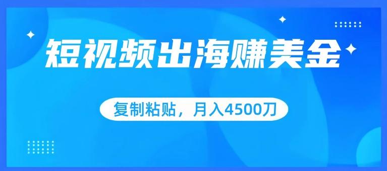 短视频出海赚美金，复制粘贴批量操作，小白轻松掌握，月入4500美刀【揭秘】-云泽轻创网
