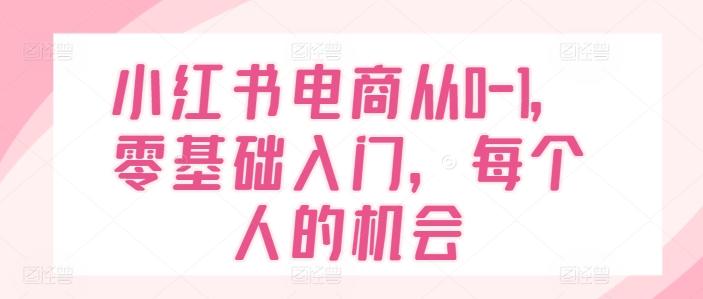 小红书电商从0-1，零基础入门，每个人的机会-云泽轻创网
