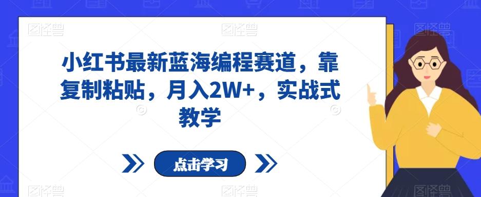 小红书最新蓝海编程赛道，靠复制粘贴，月入2W+，实战式教学【揭秘】-云泽轻创网