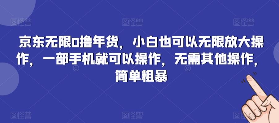 京东无限0撸年货，小白也可以无限放大操作，一部手机就可以操作，无需其他操作，简单粗暴-云泽轻创网