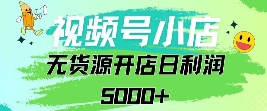 视频号无货源小店从0到1日订单量千单以上纯利润稳稳5000+【揭秘】-云泽轻创网