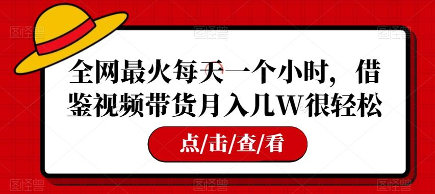全网最火每天一个小时，借鉴视频带货月入几W很轻松【揭秘】-云泽轻创网